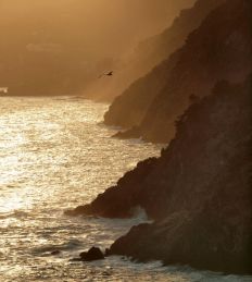 1414 Sunset